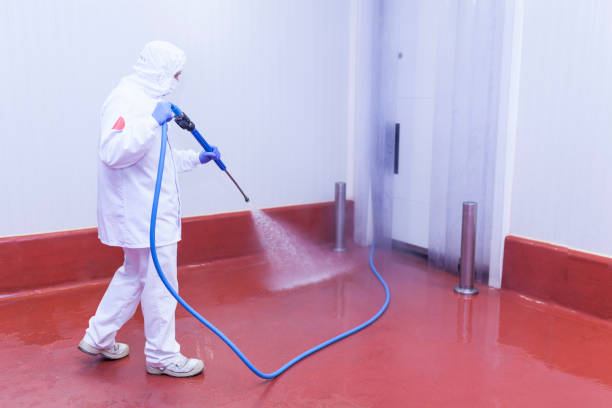 Best Rust Removal  in Smethport, PA